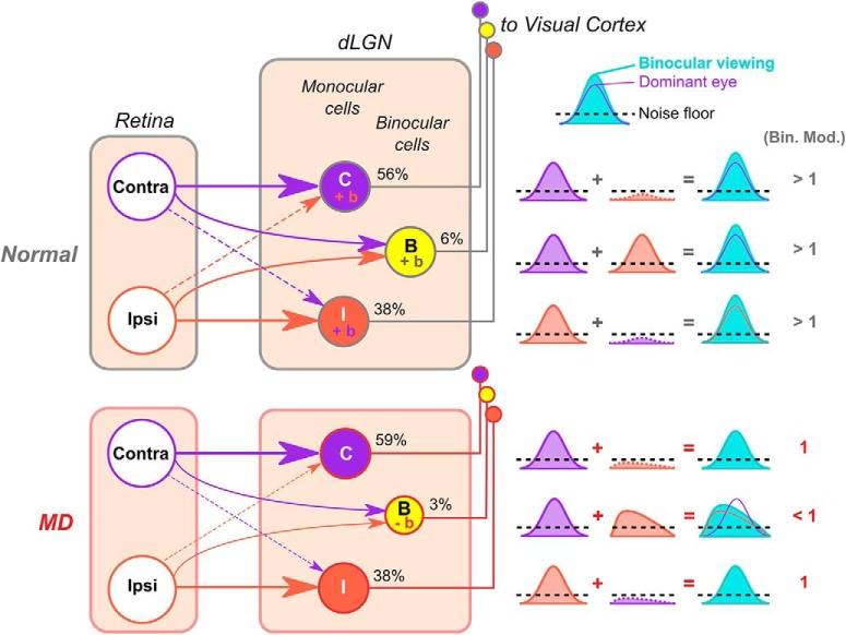 Figure 13.