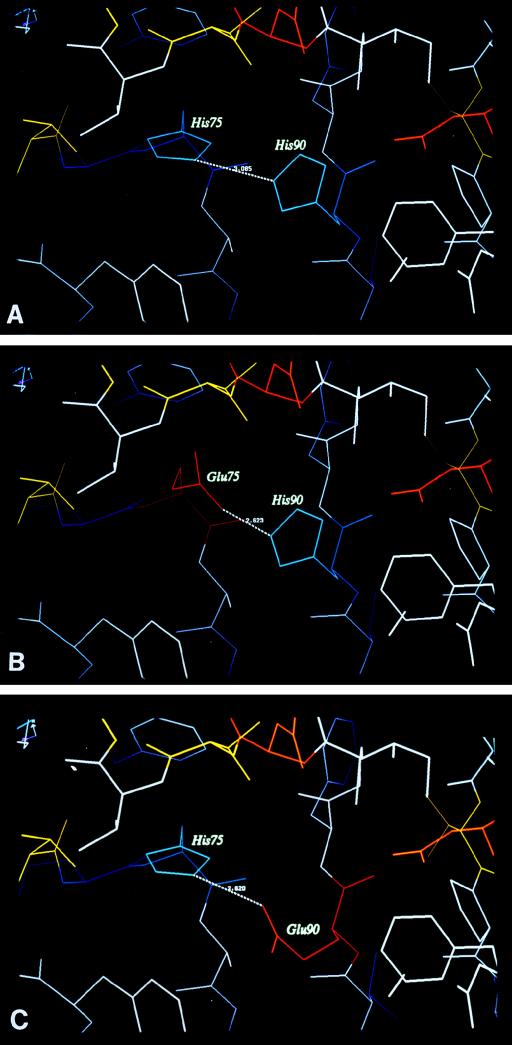 FIG. 1