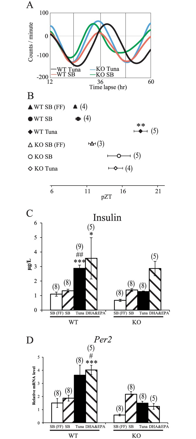 Fig 7