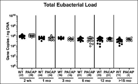 Fig. 10.