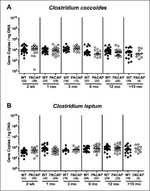 Fig. 14.