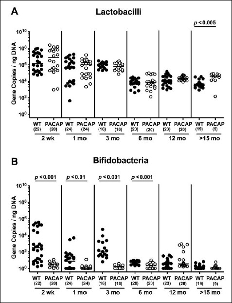 Fig. 12.