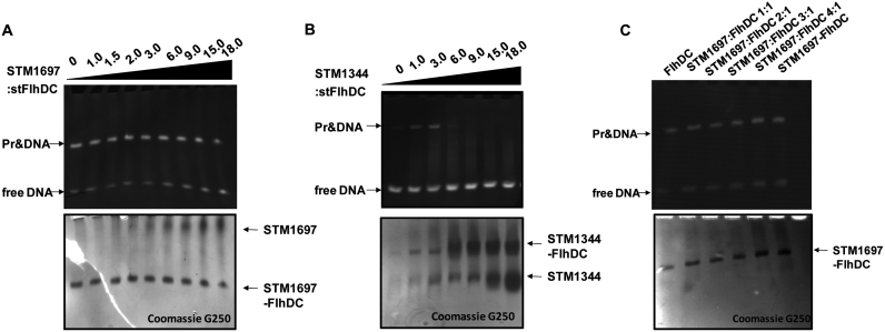 Figure 2.