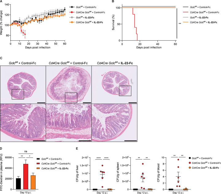 Figure 4: