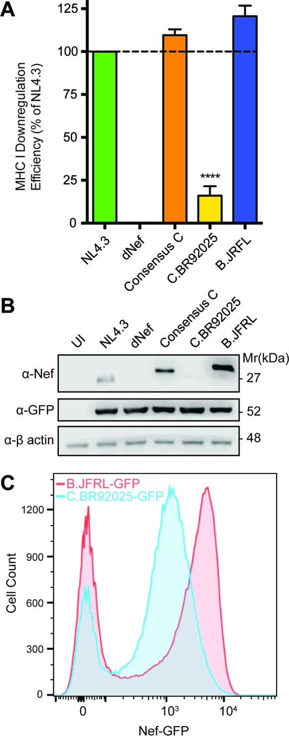 FIG 2 