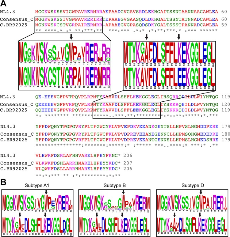 FIG 1 