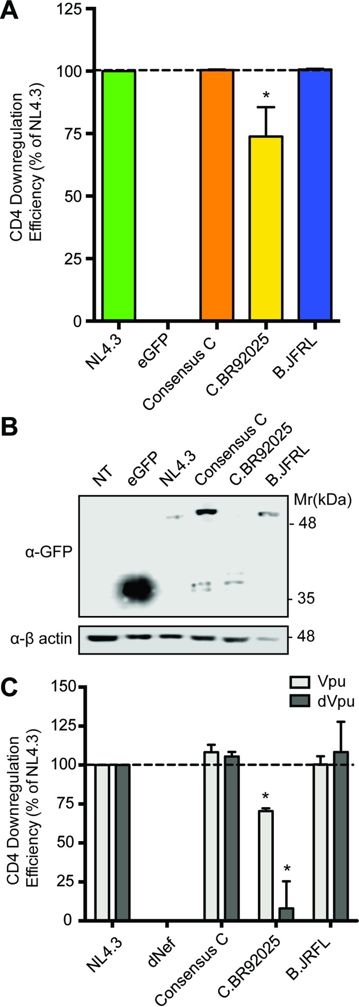 FIG 3 