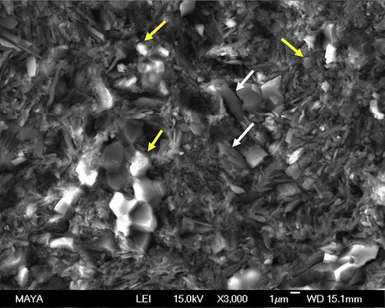 Figure 6