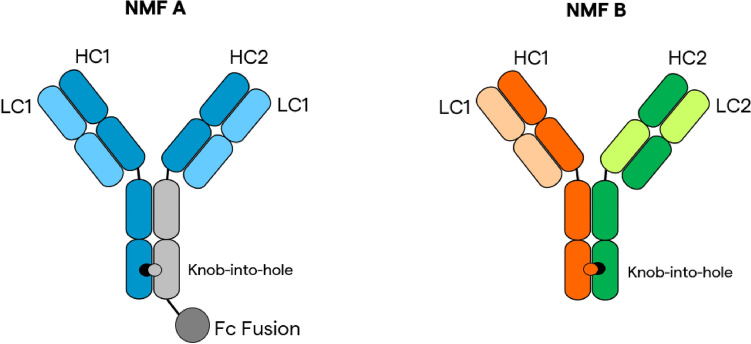 Fig. 1