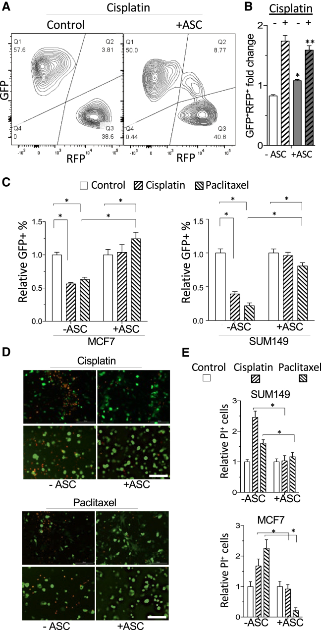 Figure 2