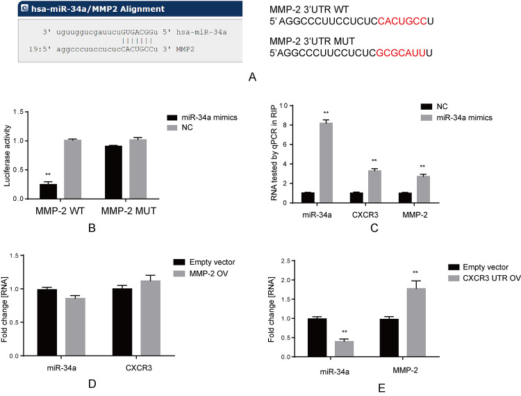 Figure 6 -