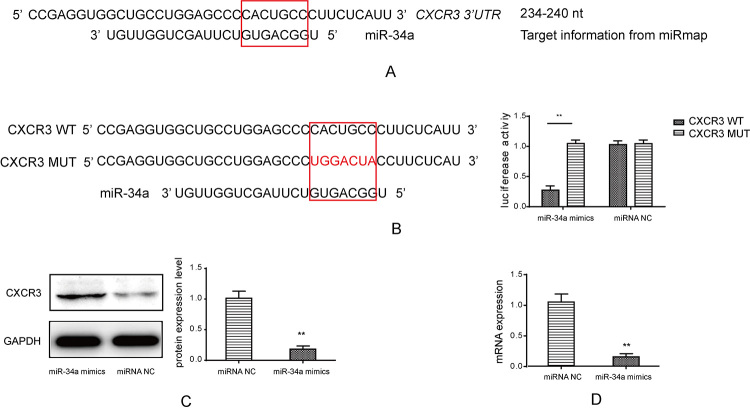 Figure 4 -