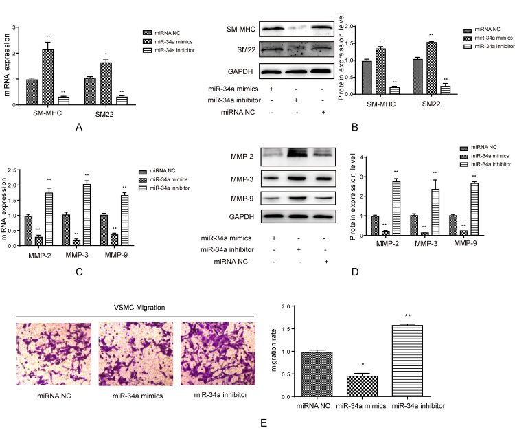 Figure 2 -