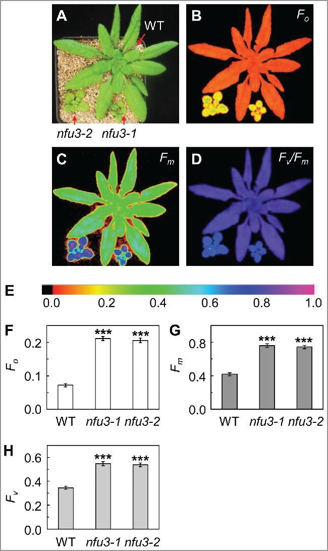 Figure 2.