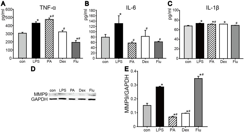 Fig 6