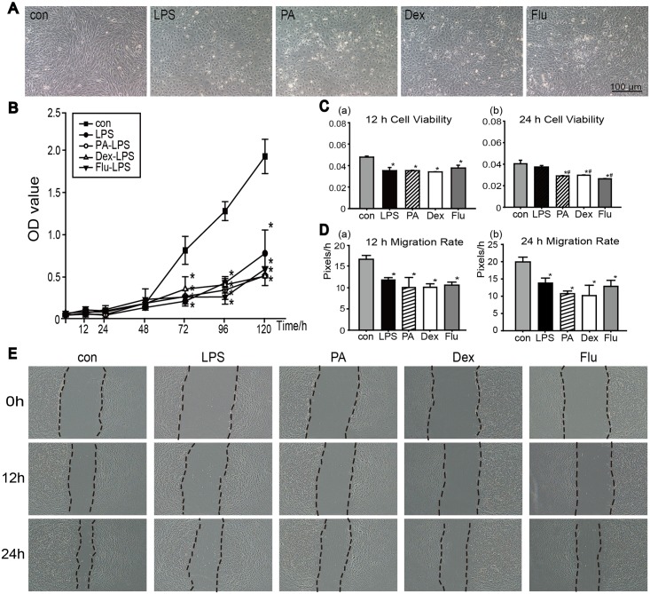 Fig 4