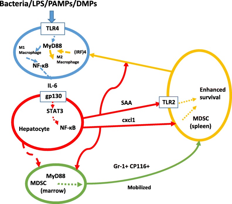 Fig. 7