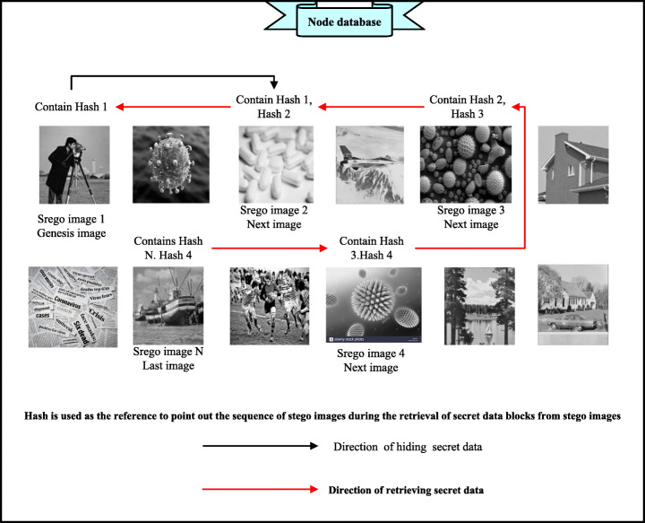 Fig. 11