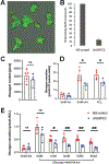 Fig. 7: