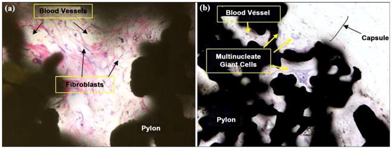 Figure 20