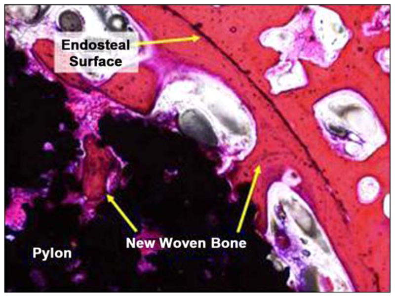 Figure 24