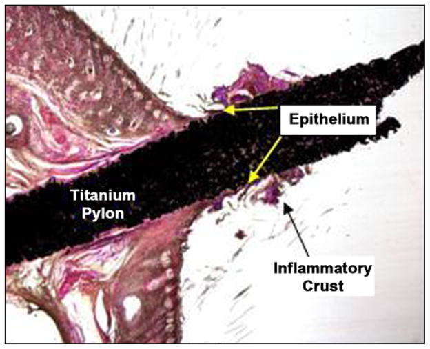 Figure 19