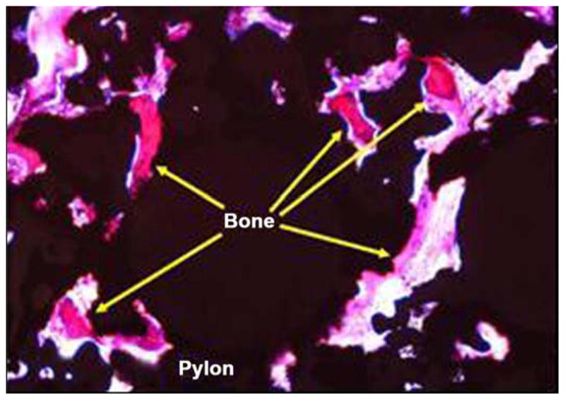 Figure 22