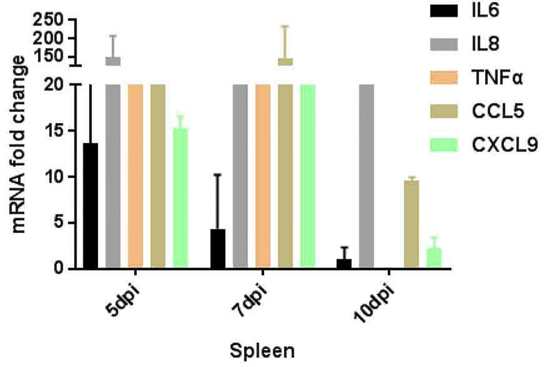 Figure 5