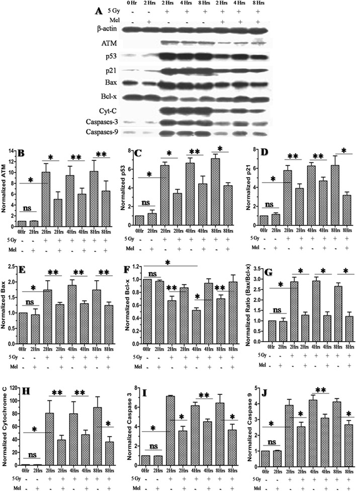 Fig. 9