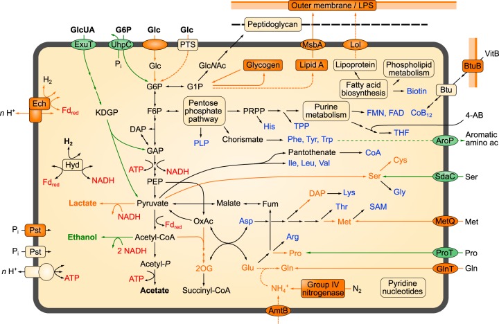 FIG 1