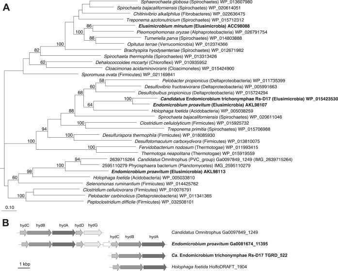 FIG 3