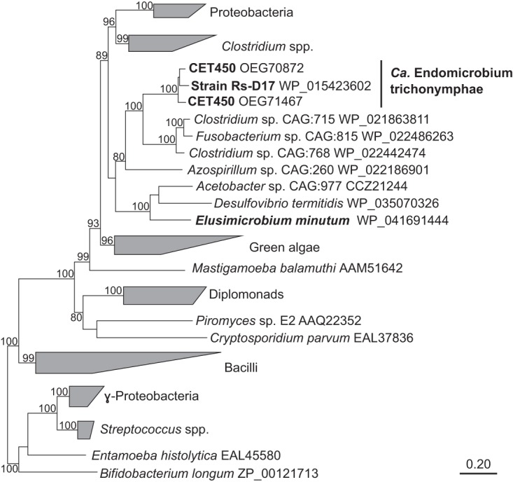 FIG 2