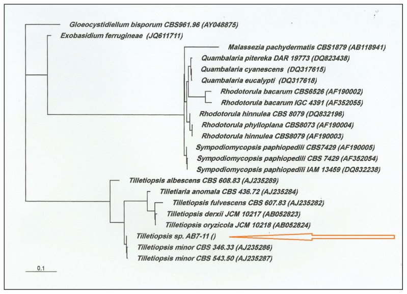 Figure 5