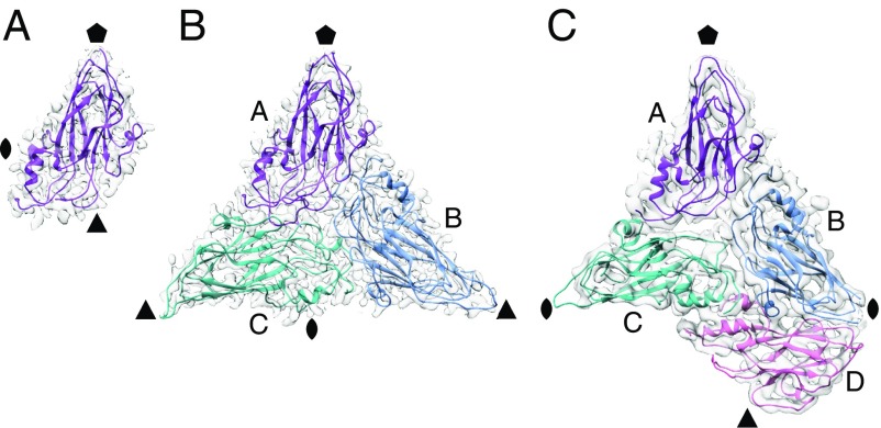 Fig. 3.