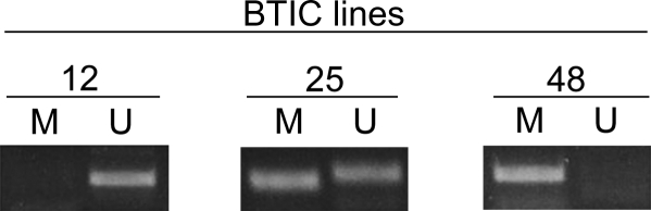 Fig. 2.