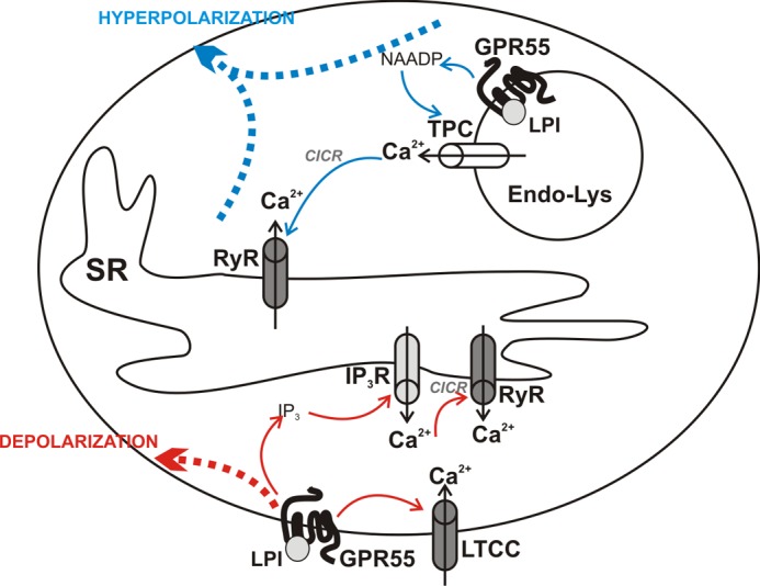 FIGURE 10.