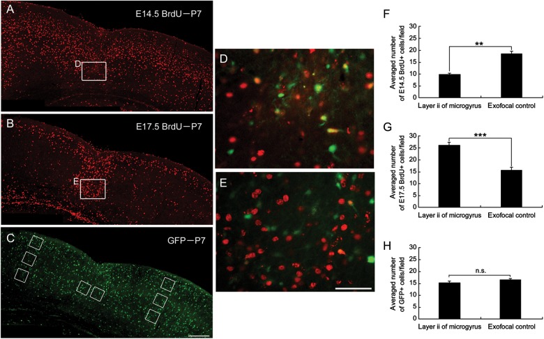 Figure 2.