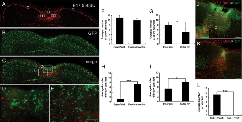 Figure 3.