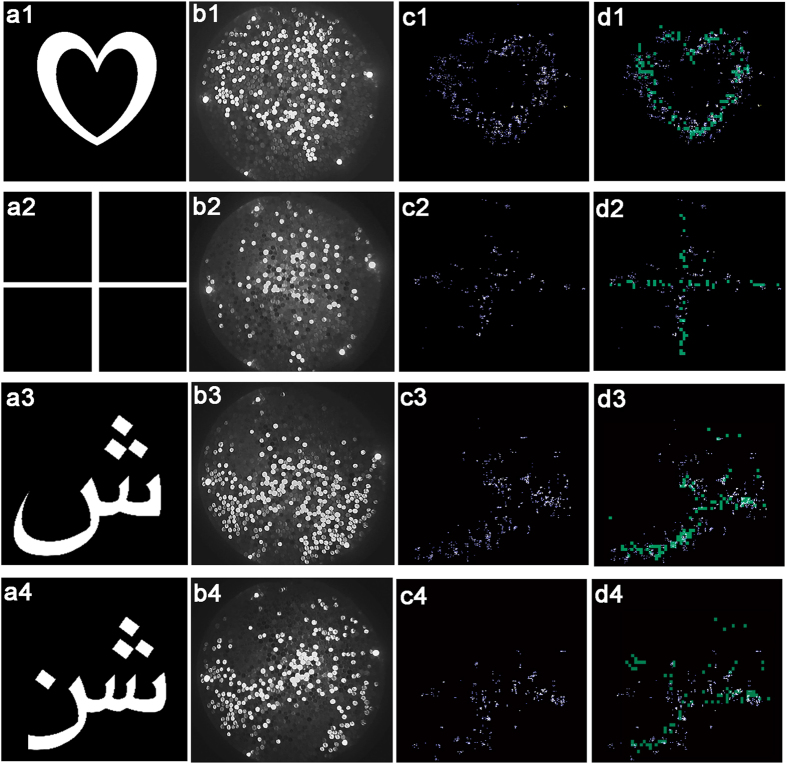 Figure 4