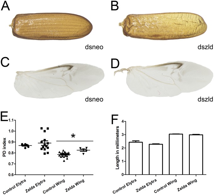 Fig 9