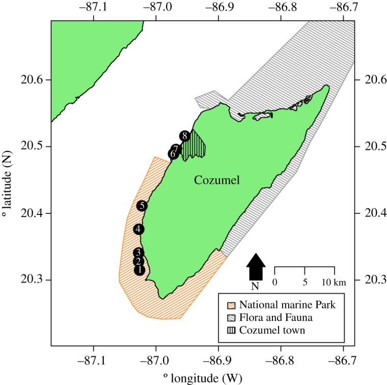 Figure 1.