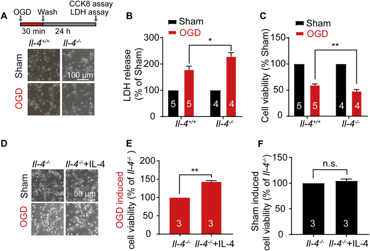 Figure 4