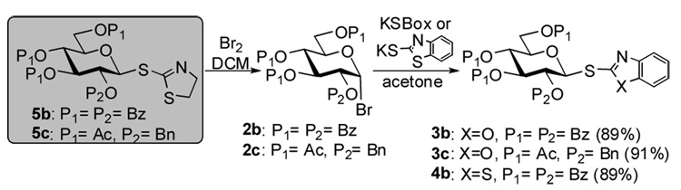 Scheme 2