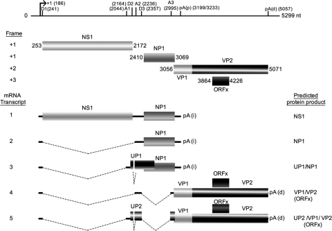 FIG. 4.