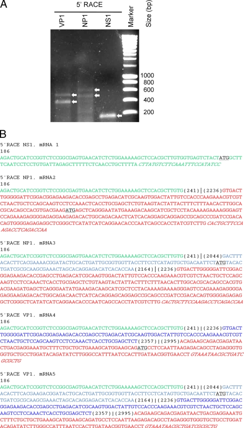 FIG. 3.