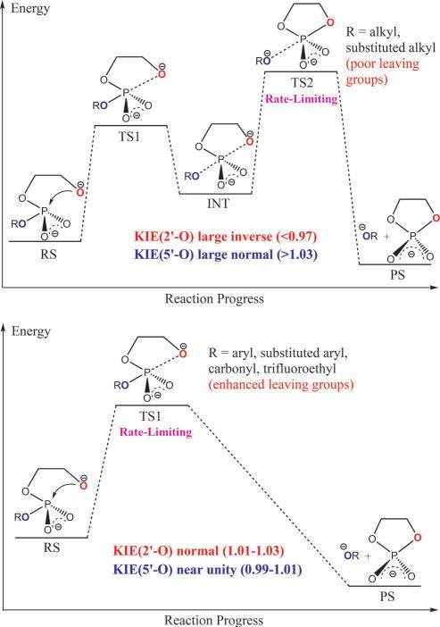 Scheme 3