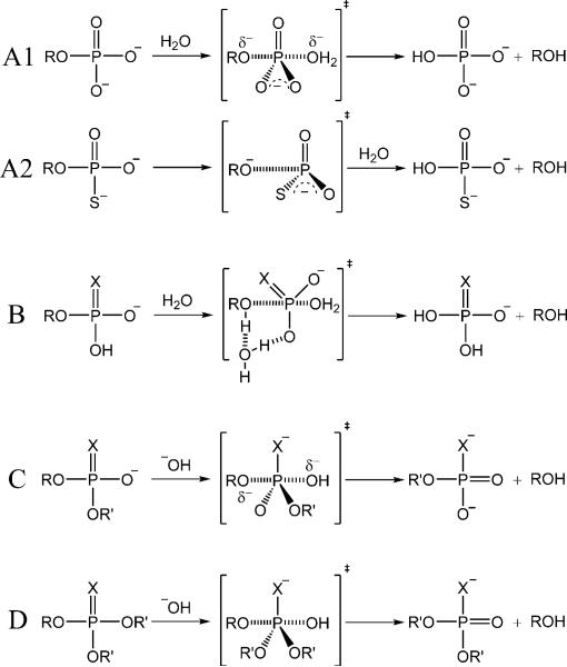 Scheme 2