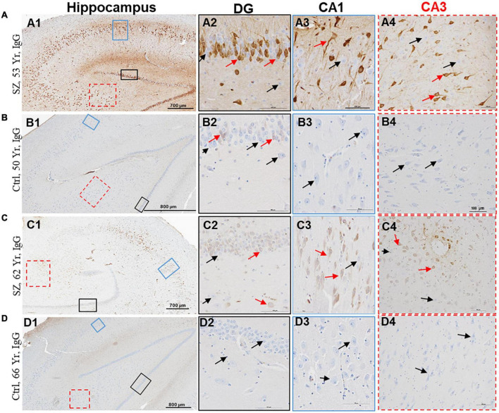 FIGURE 3