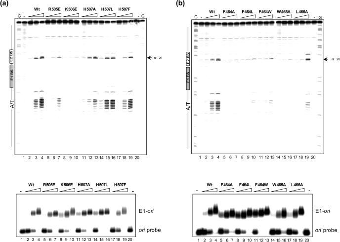 Figure 6