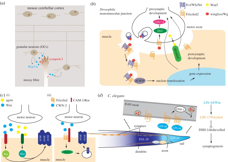 Figure 4.